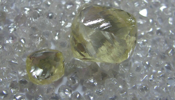 17.95 and 3.80yellows on bed of white smalls